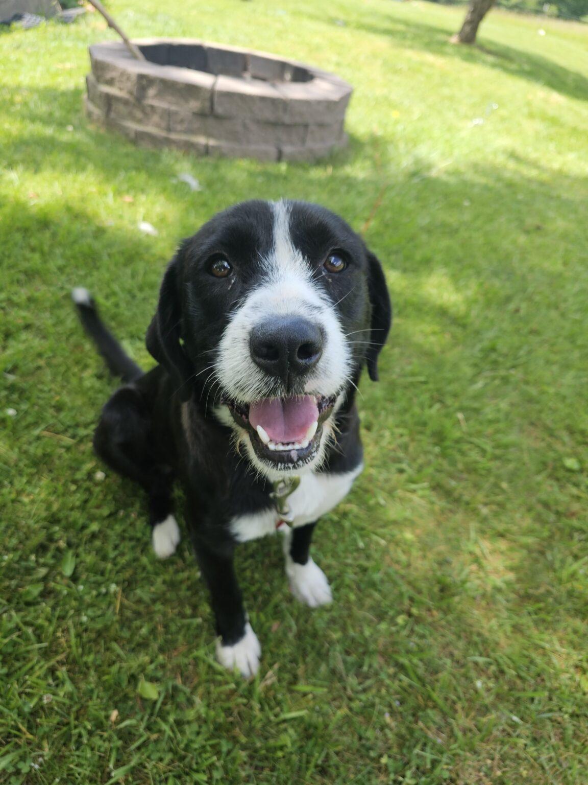 364019683_144090028721487_3214308258114204551_n