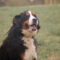 Maggie