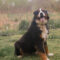 Maggie