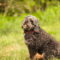 Edith (Lilly Luna)