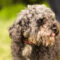 Edith (Lilly Luna)