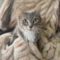 Lady Jane Grey