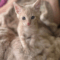 Oliver
