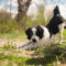 Monty