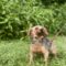 Tilly