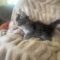 Tabitha