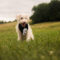 Winston