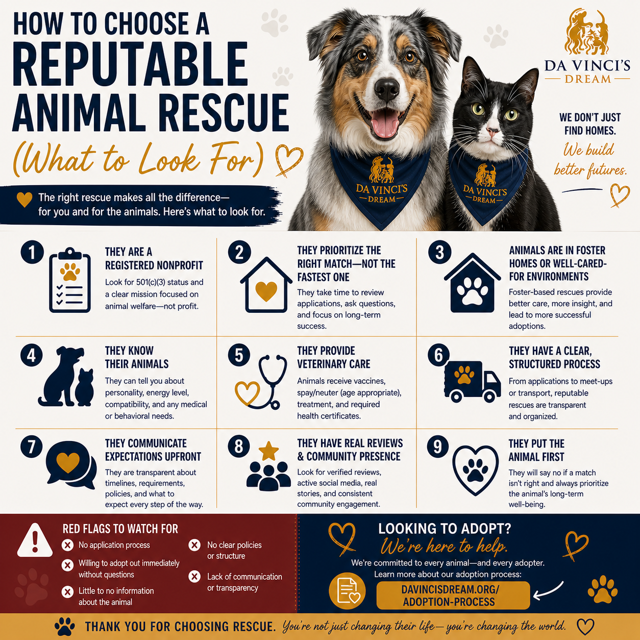 how to choose a reputable animal rescue before adopting