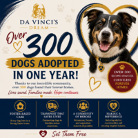 300 dogs adopted through Da Vinci’s Dream Animal Rescue