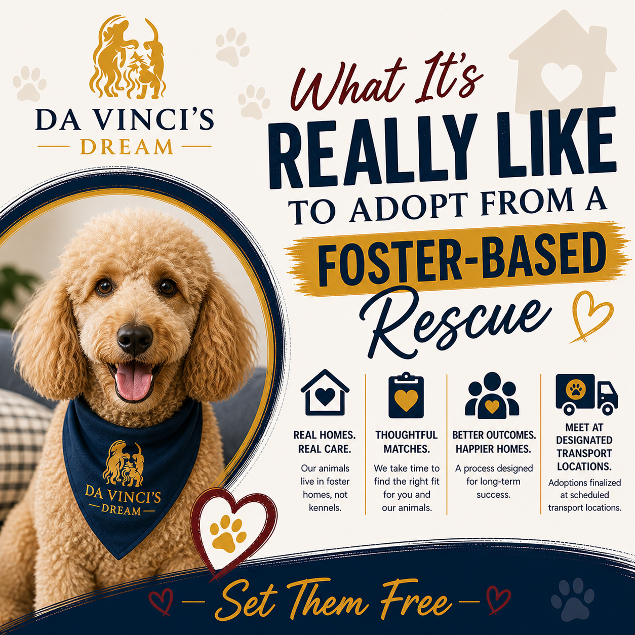 foster-based rescue adoption through Da Vinci’s Dream Animal Rescue