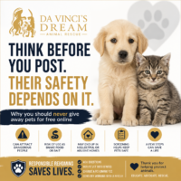 Warning about giving away free pets online and safe pet rehoming practices by Da Vinci’s Dream Animal Rescue
