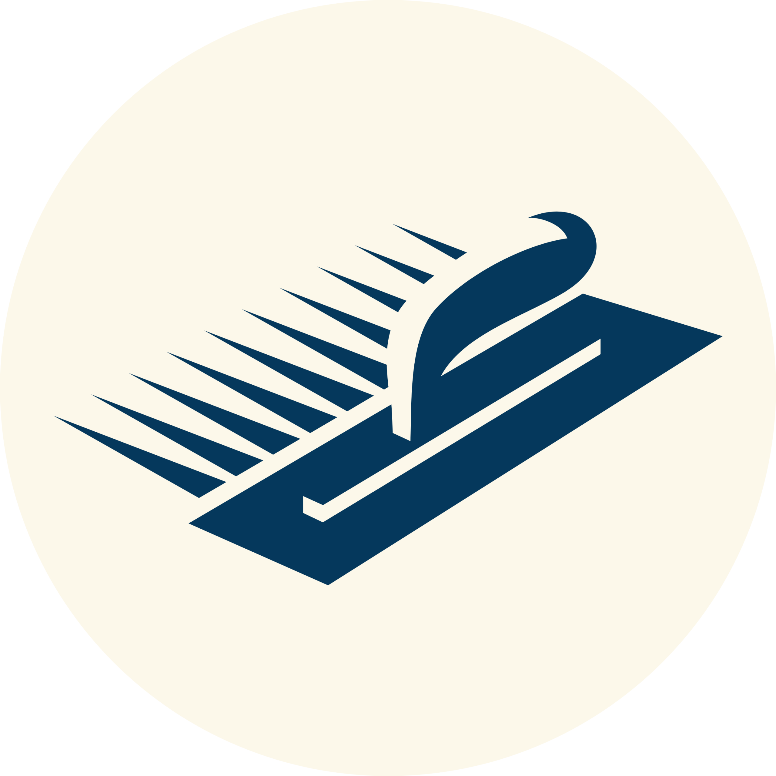 website (14)