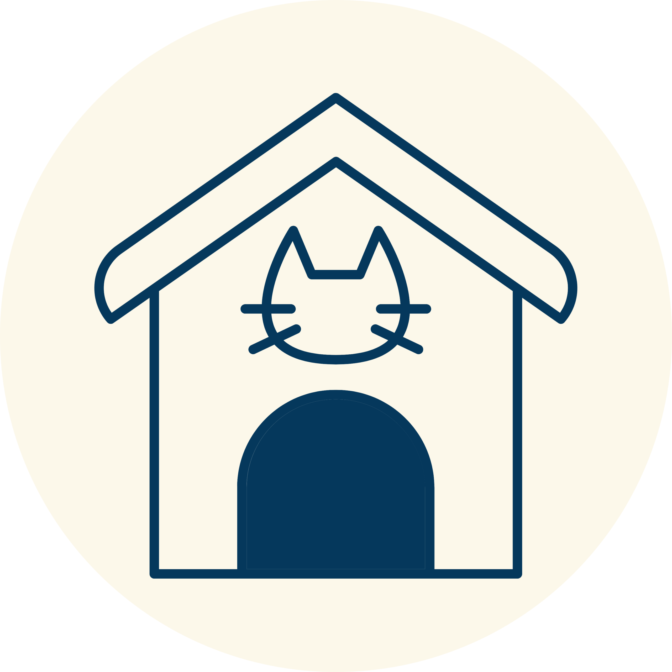 website (7)